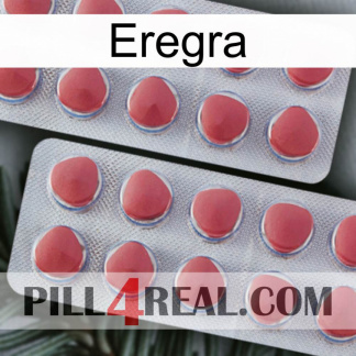 Eregra 19